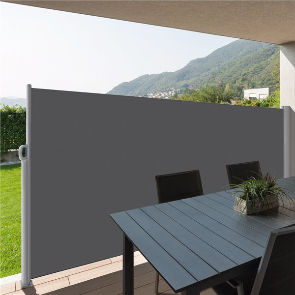 Yaheetech Manual Retraction Side Awning in Dark Gray Wayfair